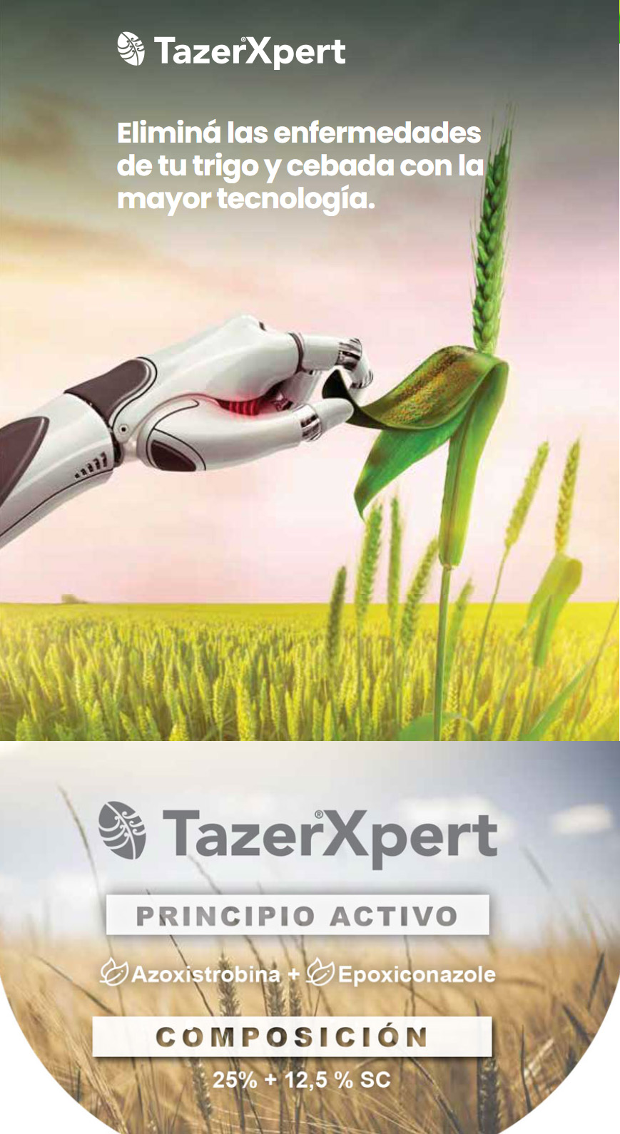 TazerXpert