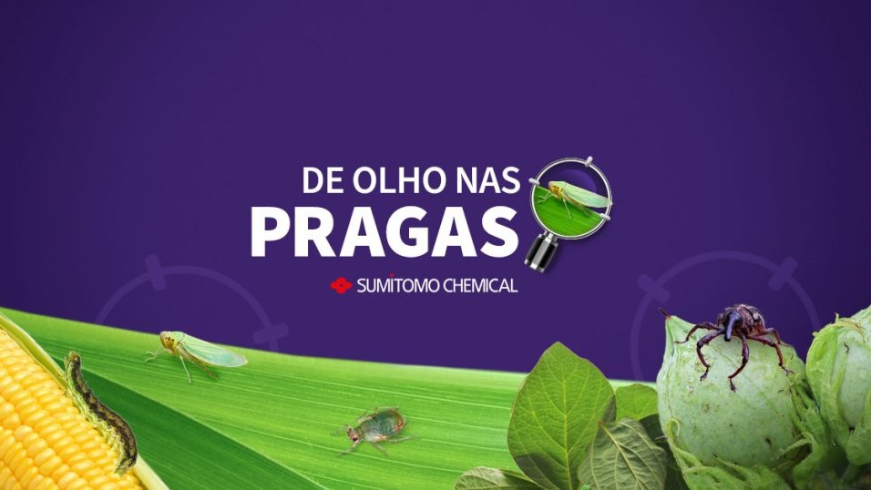 De Olho nas Pragas, a nova websérie da Sumitomo Chemical